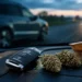 Cannabis am Steuer: Der neue THC-Grenzwert